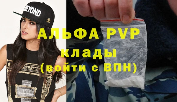 мет Алексин