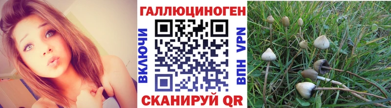 Галлюциногенные грибы Magic Shrooms  кракен как войти  Нижняя Салда 